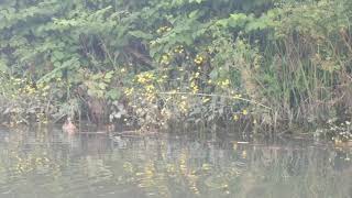 VID 20200527 202837