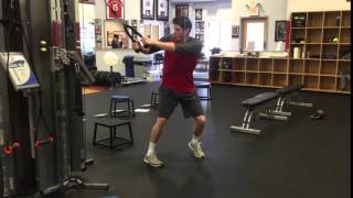 Standing Dynamic Chop