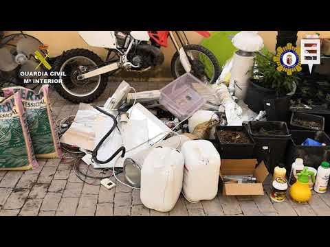 Cae un punto de producción y venta de drogas en Calasparra