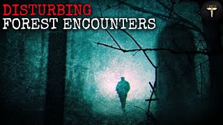 Disturbing Encounters Alone In The Woods