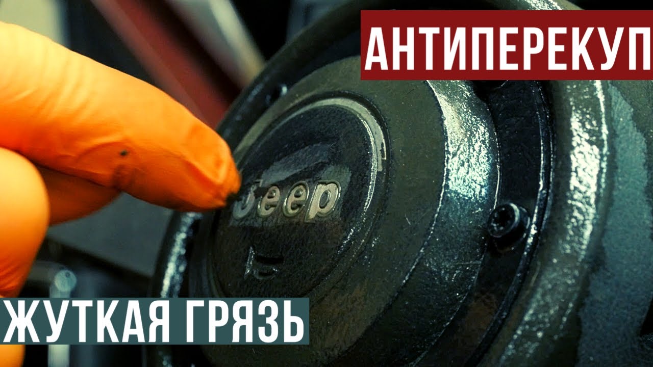 Клипсы салона ланос