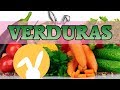 Qué verduras comen los conejos