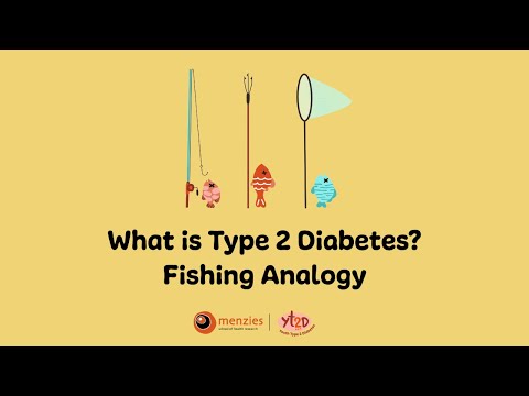 What is Type 2 Diabetes? Fishing Analogy