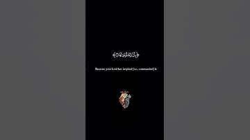 سورة الزلزلة| ماهر المعيقلي|كروما قرآن خلفية سوداء جاهزة للمونتاج تلاوة خاشعة