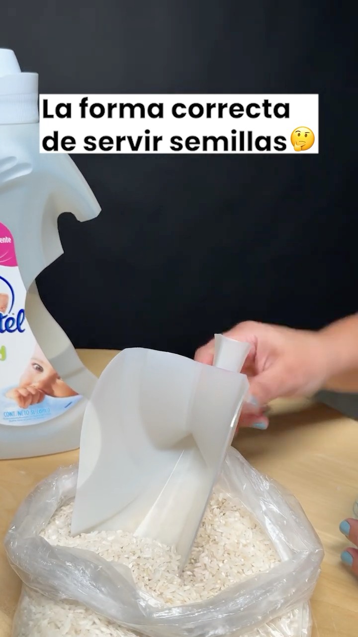 Recolecta tus semillas con este truco casero