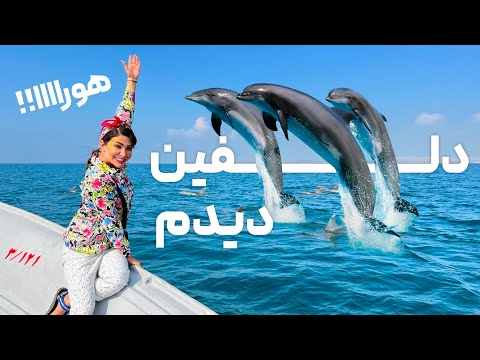 دلفین ها رو دیدم پاتوق کمپ بچه های هیپی جزیره هنگام