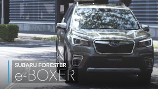 FORESTER：e-BOXER