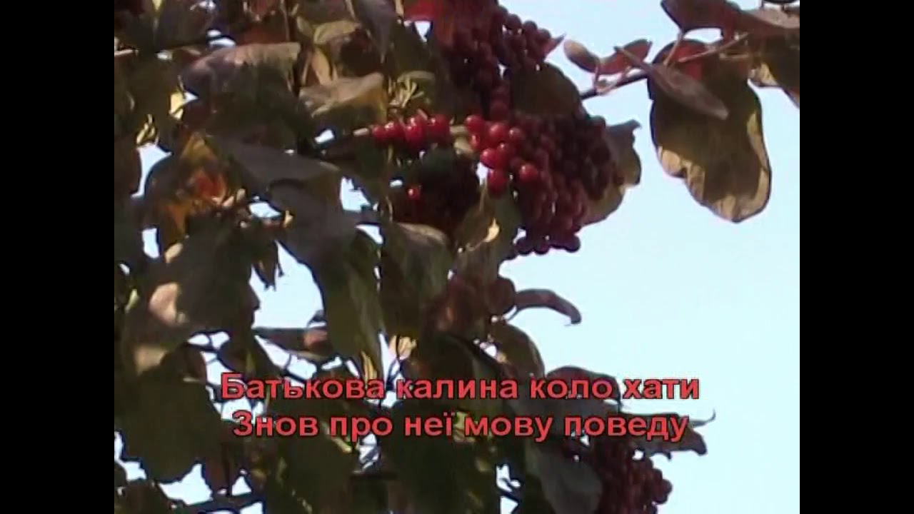 Червона калина караоке