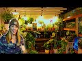 Incredible Fish Shed Tour - A Tropical Oasis