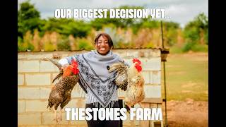 We Built Our First Farm In Zambia