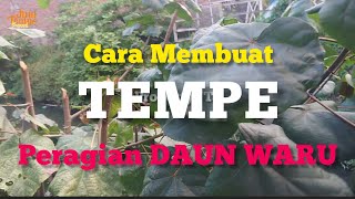 Cara Membuat Tempe Peragian Daun Waru