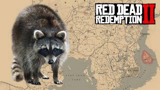 Where to find north american raccoon in red dead redemption 2 🟢
