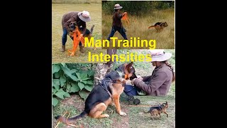 Mantrailing Intensities  |  What are they Why are they important