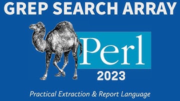 Perl Programming - Grep Array Search 2023