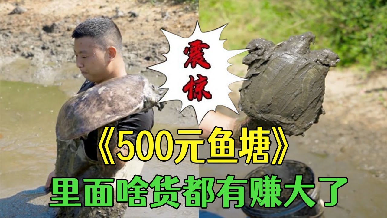 花500包下個魚塘，沒想到裏面啥貨都有賺大了#小飛哥 #我要上熱門 #戶外 #三農 #農村生活