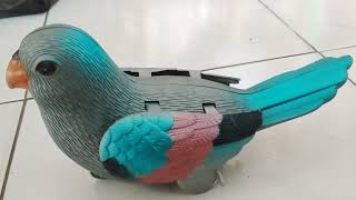 Download Lagu BIRD OF WEDUS IN JERMAN $550000 MP3