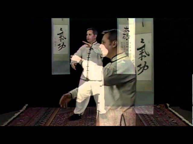 Stillness in Motion: Grasp bird's tail part 1
