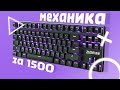 Самая дешевая механика с RGB - ZUOYA. Стоит ли покупать? (обзор, тест и мнение)