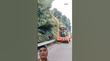 Máy Cắt Tỉa Cành Cây Trên Cao #xcavator