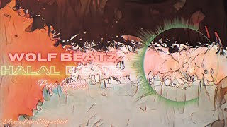 Free Gaza | Slowed and Reverbed | Muhammad Al Muqit