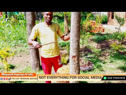 A MESSAGE TO OHANGLA ARTISTS