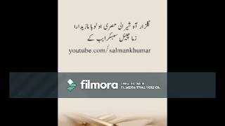 gulzar sherali msre ao loba