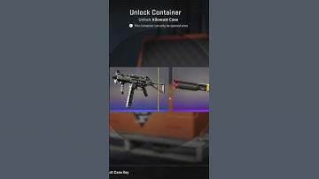 CS2 Case Opening Day 17