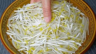 炒绿豆芽不要直接下锅炒，难怪不好吃，教你技巧，清脆爽口不出水