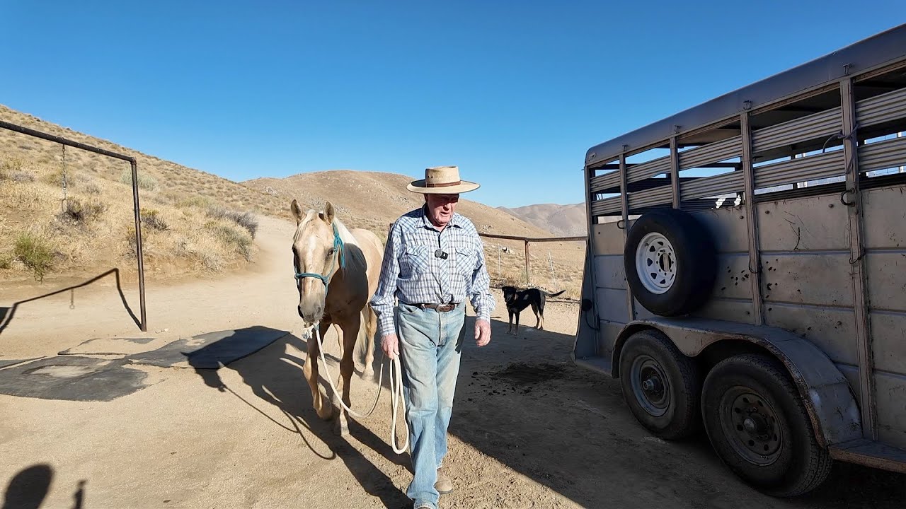 How Not to Ruin Your New Horse