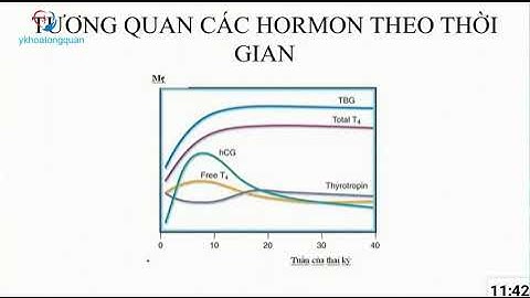 Biện luận xét nghiệm chức năng tuyến giáp ở phụ nữ có thai
