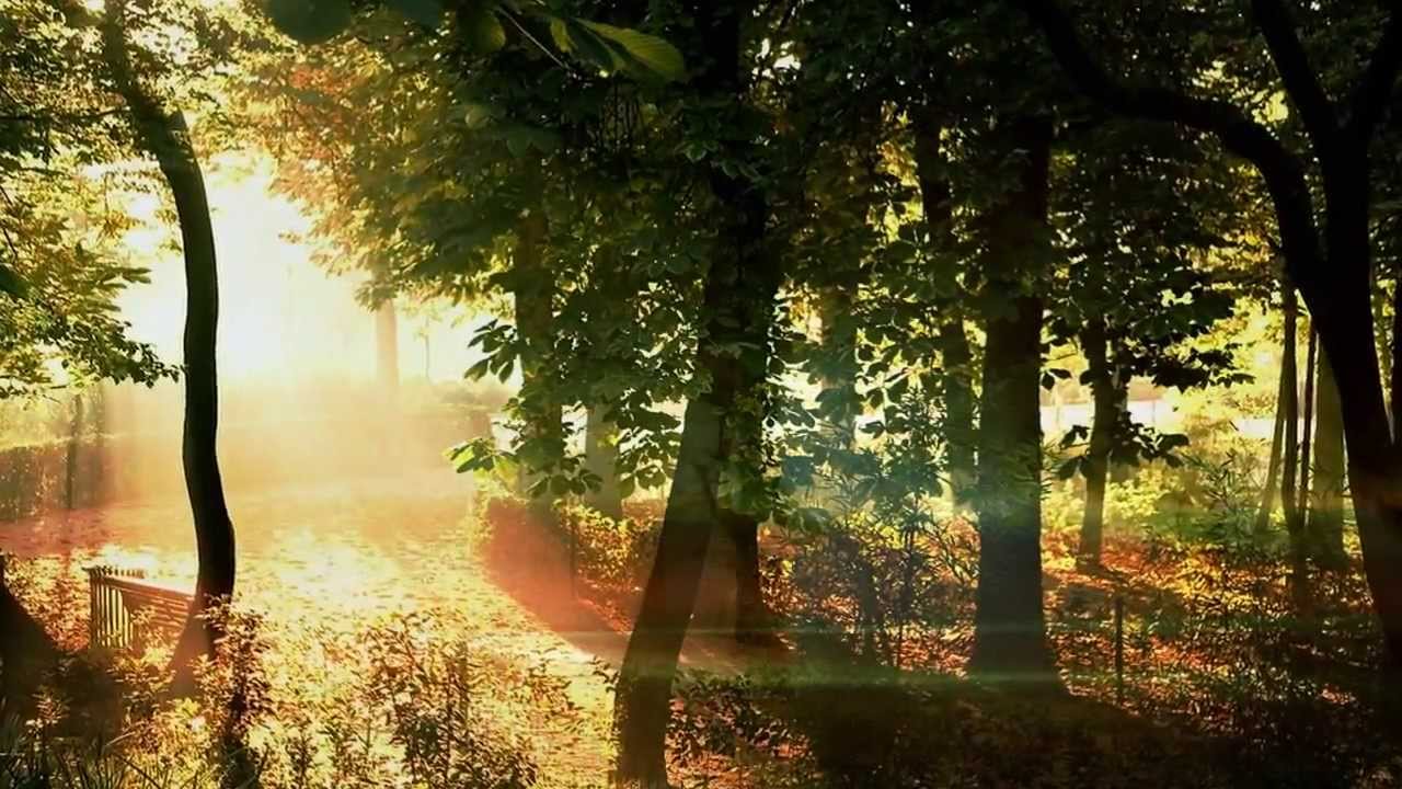 Luna Rossa - The Dark Room