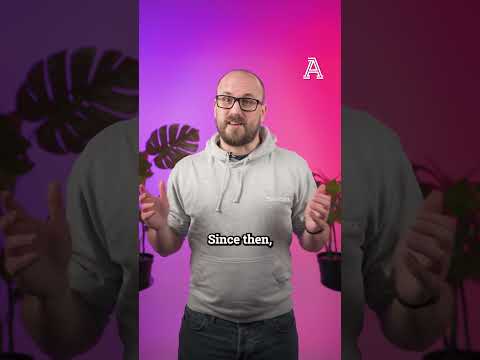 Why Man City Might Not Win The League This Season (Again) | #premierleague #manchestercity