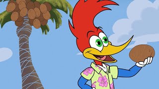 وودي نقار الخشب | يحاول وودي نقار الخشب إثارة إعجاب ويني | حلقة كاملة screenshot 4