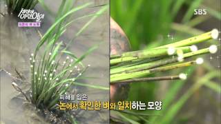 [SBS] 순간포착 세상에 이런일이 130718 #5(2)