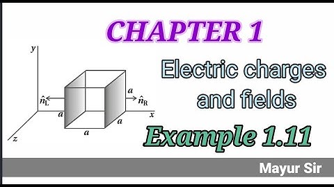Standard 12 Physics NCERT Chapter 01 Electric charges and fields Example 1.11