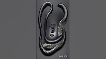 Har Har Mahadev 🚩 #shorts​ #youtubeshorts​ #shortsfeed​ #bholenath​ #mahadev​ #mahakal​ #harharma...