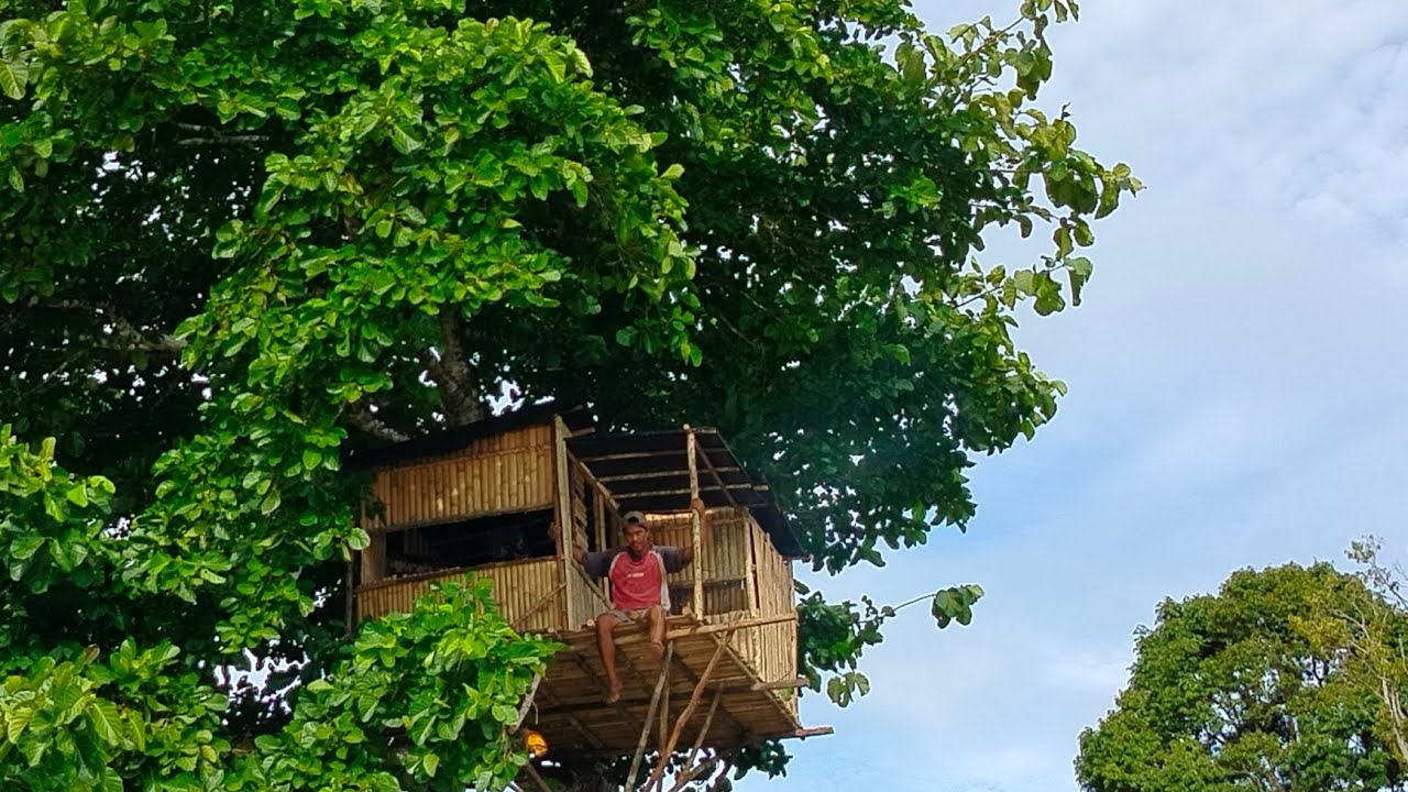 Camping di hutan sumatra-Membangun rumah pohon di pinggir sungai