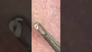 Whats Inside?