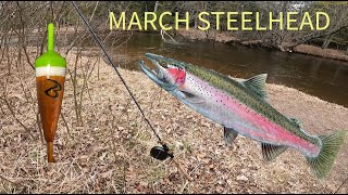 Spring Michigan Steelhead (MARCH)