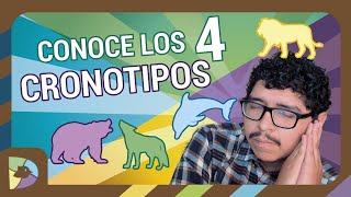 Los 4 Cronotipos (Que son y como aprovecharlo)