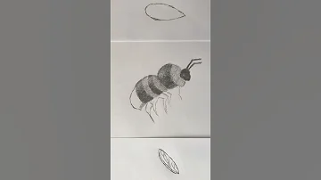 Drawing A Bumblebee In The Rhythm Of Flight Of The Bumblebee 