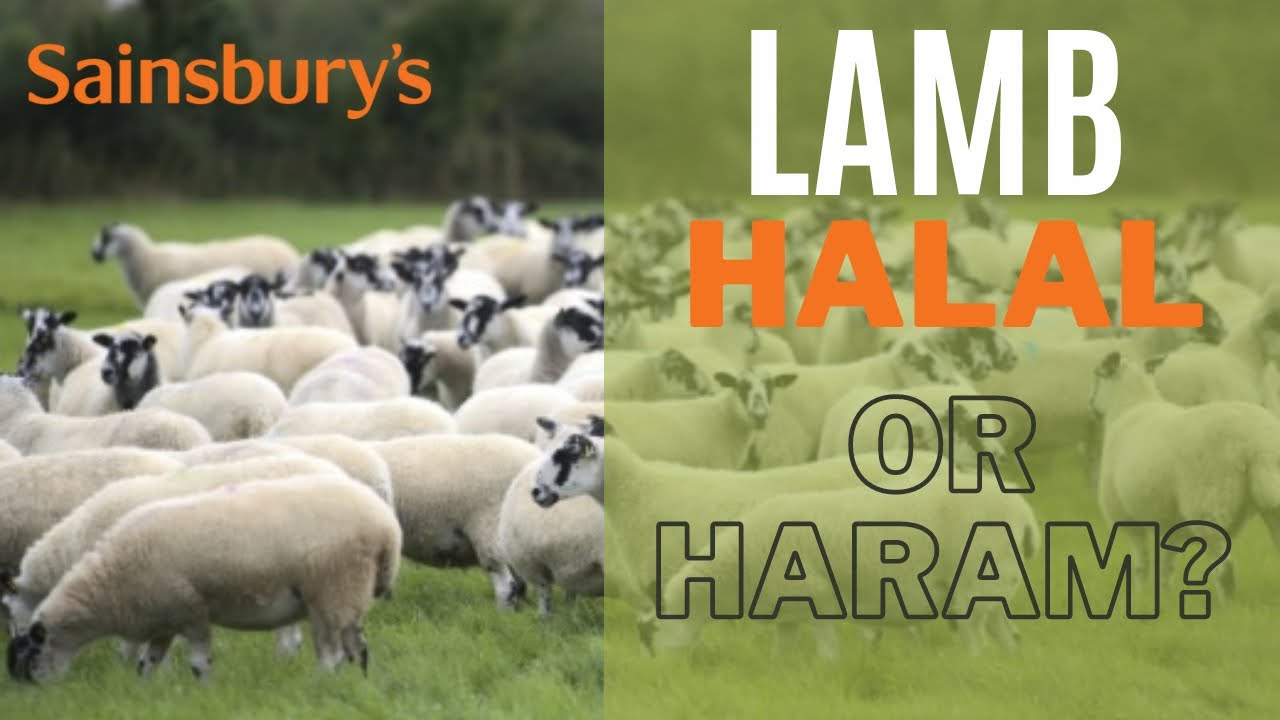 Sainsbury’s Lamb - is it Halal or Haram? - 