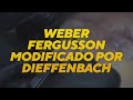 Weber Fergusson modificado por Dieffenbach