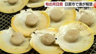 ニュース・スポーツ | KTS鹿児島テレビ