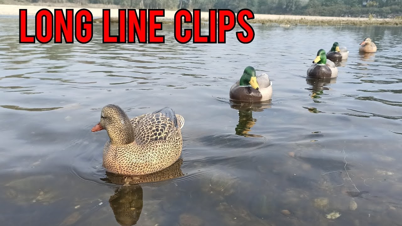 Long line clips per STAMPI per CACCIA alle ANATRE long line clips for