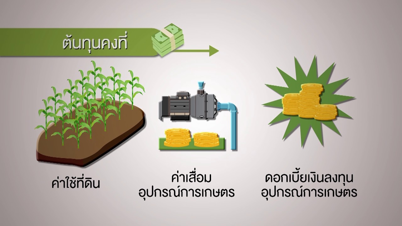 โครงการสานพลังประชารัฐเพื่อสนับสนุนการปลูกข้าวโพดหลังฤดูทำนา : ตอนที่ 10 ต้นทุนการผลิตและผลตอบแทน