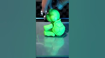 Say Hello to Mr Koopa - 3D Printed Turtle