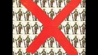 Wild Turkey - Butterfly