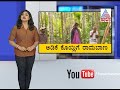 Kannadiga In America Invents New Equipment To Cut Areca Nut Growers