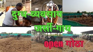 मी आलोय Farm-house वर,कसा आहे open गोठा |